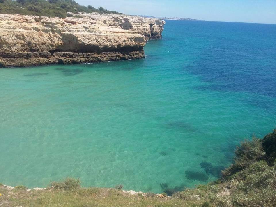 Al Algarve - Alojamento Local Com Excelente Localizacao 카르보에이루 외부 사진