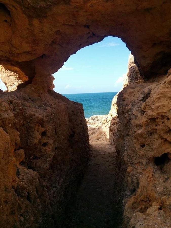 Al Algarve - Alojamento Local Com Excelente Localizacao 카르보에이루 외부 사진