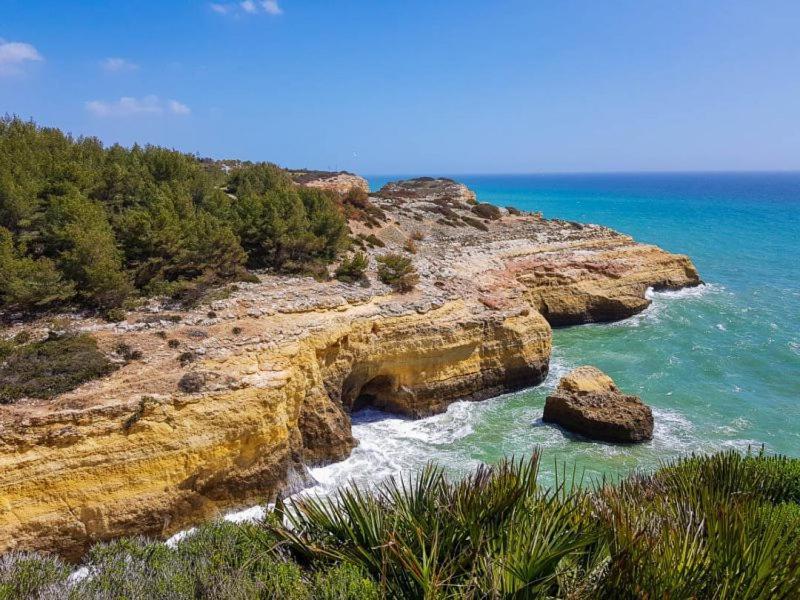 Al Algarve - Alojamento Local Com Excelente Localizacao 카르보에이루 외부 사진